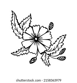 Hand drawn flower arrangement single element for coloring