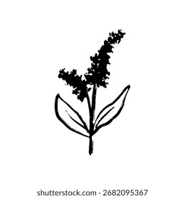 Flor dibujada a mano en blanco y negro. Ilustración de boceto de Vector en estilo vintage de crayón. Textura del trazo del pincel, dibujo pastel. Flor, arte botánico