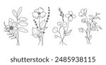 Hand drawn flower bouquet line element vector. Collection of foliage, leaves branch, wildflower, poppy, sunflower, eucalyptus. Spring blossom illustration design for logo, wedding, tattoo, decor.