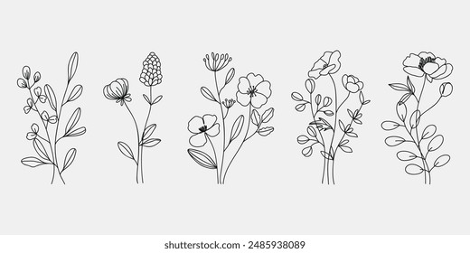 Vector de elemento de línea de ramo de flores dibujado a mano. Colección de follaje, rama de hojas, flor silvestre, amapola, hortensia, eucalipto. Diseño de la ilustración de la flor de la primavera para el logotipo, boda, tatuaje, decoración.