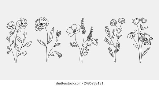 Vector de elemento de línea de ramo de flores dibujado a mano. Colección de follaje, rama de hojas, flor silvestre, amapola, peonía, eucalipto. Diseño de la ilustración de la flor de la primavera para el logotipo, boda, tatuaje, decoración.