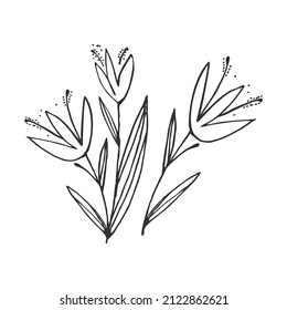Handgezeichnete Blume und Zweige-Doodle, Vektorgrafik