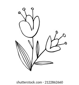 Hand drawn flower and branches doodle, Vector illustration