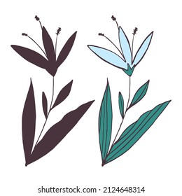Hand drawn flower and branches doodle, Vector illustration