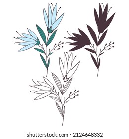 Hand drawn flower and branches doodle, Vector illustration