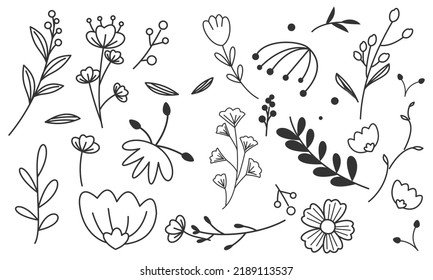 Hand drawn flower and branches doodle vector