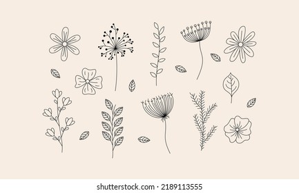 Hand drawn flower and branches doodle vector