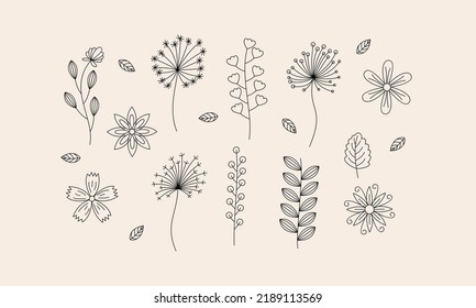 Hand drawn flower and branches doodle vector