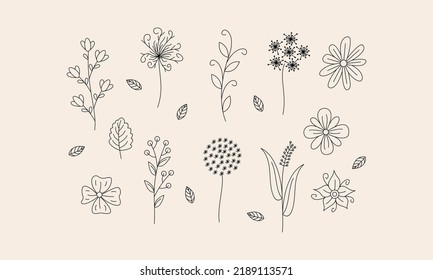 Handgezeichnete Blume und Zweige-Doppel-Vektorgrafik