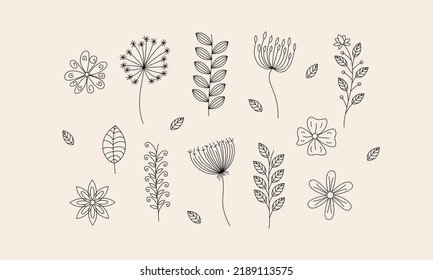 Flor dibujada a mano y ramas vector de doodle
