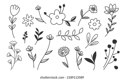 Handgezeichnete Blume und Zweige-Doppel-Vektorgrafik