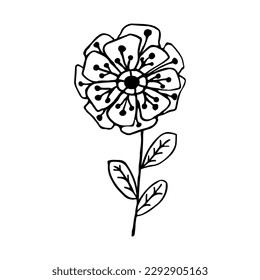 Hand drawn flower and branches doodle. Vector illustration