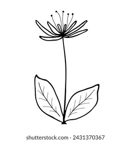 Hand drawn flower and branches doodle. Vector illustration