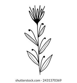Hand drawn flower and branches doodle. Vector illustration