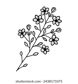 Hand drawn flower and branches doodle. Black and white vector illustration sketch. EPS10