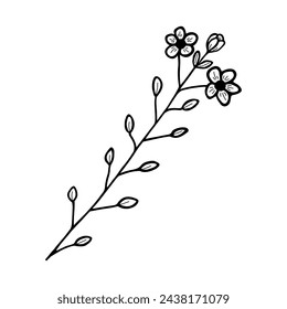 Hand drawn flower and branches doodle. Black and white vector illustration sketch. EPS10