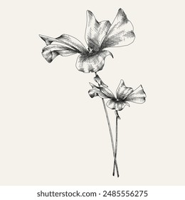 Handgezeichnete Blume und Äste. Vektorillustration. Schwarz und Weiß. In: Flower Vintage Sketch.