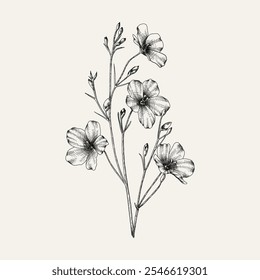 Flores e ramos desenhados à mão. Ilustração vetorial. Preto e branco. Esboço de flor vintage.