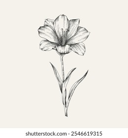 Hand drawn flower and branches. Vector illustration. Black and white. Flower vintage sketch.