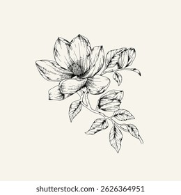 Hand drawn flower and branches. Vector illustration. Black and white. Flower vintage sketch.