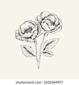 Hand drawn flower and branches. Vector illustration. Black and white. Flower vintage sketch.