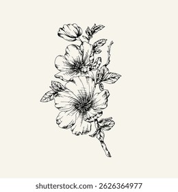 Hand drawn flower and branches. Vector illustration. Black and white. Flower vintage sketch.