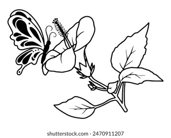 Hand Drawn Flower Butterfly Line Art