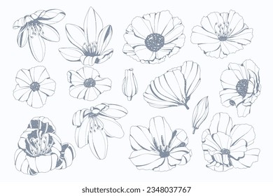 hand drawn flower collection 8