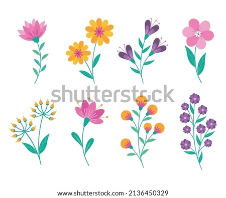 hand drawn flower collection set vector