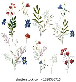 Hand drawn flower collection. Various flowers from fields and meadows in bouquets. Big set botanic branches, leaves, foliage, herbs, wild plants. Bloom vector illustration isolated on white background