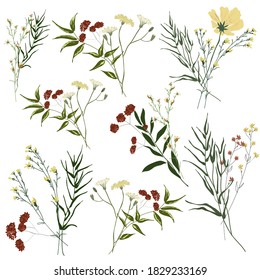 Hand drawn flower collection. Various flowers from fields and meadows in bouquets. Big set botanic branches, leaves, foliage, herbs, wild plants. Bloom vector illustration isolated on white background