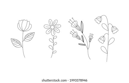Vecador de colección de flores dibujado a mano