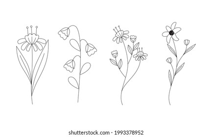 Hand drawn flower collection vecor