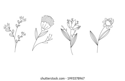 Vecador de colección de flores dibujado a mano