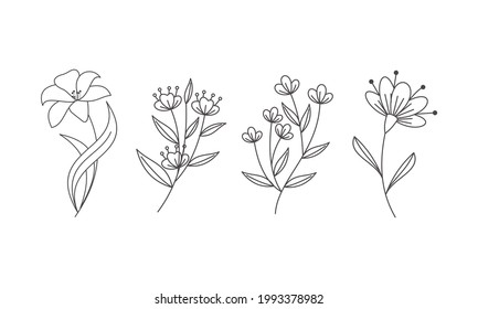 Vecador de colección de flores dibujado a mano