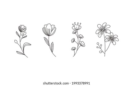 Vecador de colección de flores dibujado a mano