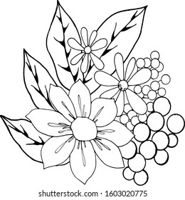 Hand drawn flower composition. Botanical illustration for coloring page. Black and white line art for packaging, logo, label. Vector illustration of leaves, berries and daisy.
