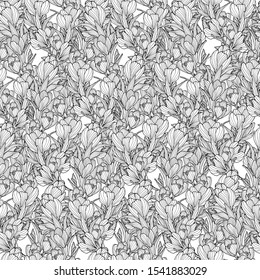 Hand drawn flower. Crocus flower silhouette on white background. Fabric, print, cover, wrap