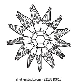 Hand drawn flower with crystal. Magic symbol line art. Vector illustration isolated on white background.