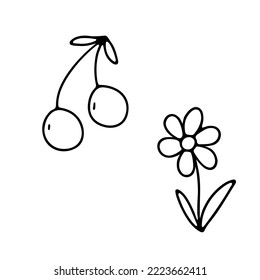 Hand drawn flower daisy and berries cherry. Vector outline sketch. Line art doodle isolated on white