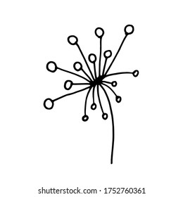 
Hand Drawn flower dandelion doodle. Sketch style icon. Decoration element. Isolated on white background. Flat design. Vector illustration.