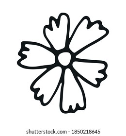Hand drawn flower doodle. Botanical vector in line art or outline.