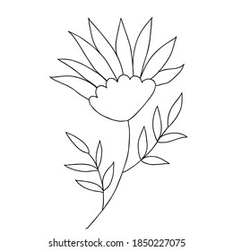 Doodle de flores dibujado a mano. Elemento vegetal de una sola mano