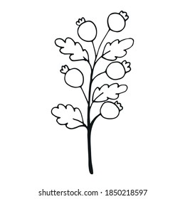 Hand drawn flower doodle element for photo book decoration