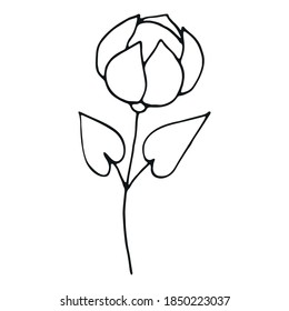 Elemento de doodle de flores dibujado a mano para la decoración de libros de fotos
