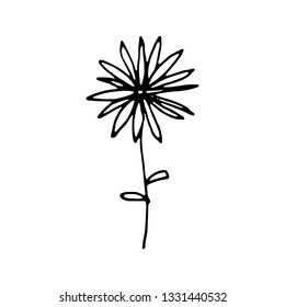 Hand Drawn flower doodle. Sketch style icon. Decoration element. Isolated on white background. Flat design. Vector illustration.