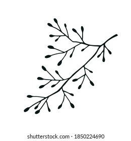 Hand drawn flower doodle. Social network highlight stories icon. Hand drawn wedding herb