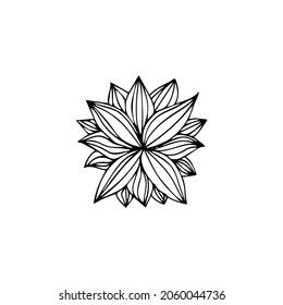 Hand drawn flower in doodle style. Cute elegant drawing elemnt for greeting card, coloring book, wedding, prints.