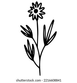 Hand drawn flower in doodle style. One line vector.