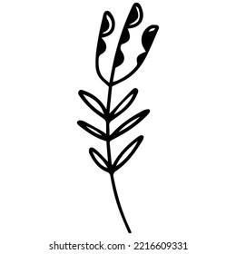 Hand drawn flower in doodle style. One line vector.